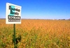 Global protest over Monsanto’s GM crops, pesticides