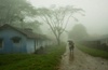 Monsoon rains in India could be below normal in 2015: IMD