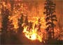 Climate change blamed for Australia’s worst bushfire
