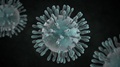 China warns of faster spread of Coronavirus as toll climbs to 80