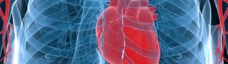Making sense of genetic testing for heart disease