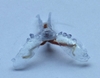 Researchers build a crawling robot from sea slug parts and a 3-D printed body