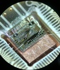 Quantum race accelerates development of silicon quantum chip