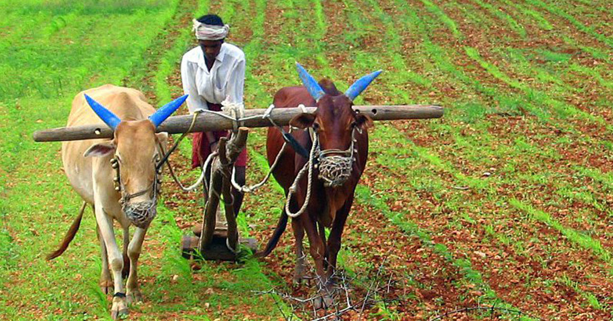 Consumer price inflation for agricultural and rural workers up at 7.08% and 6.92% in October