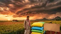 The fertilizer scissors effect as 2026 geopolitical tensions squeeze farmers globally