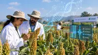 Google expands agricultural AI and backs $15 million MSME initiative