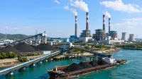 India boosts domestic coal use at import-based power plants