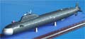 Indian indigenous nuclear sub to be unveiled on 26 July: report