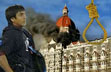 26/11 terrorist Kasab must hang, rules SC