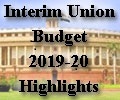 Interim FM presents interim Budget '19