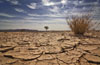 Global warming to induce extreme drought across India: report