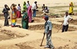 NREGA rates must match minimum state wages: SC