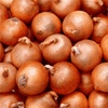 Onion, potato brought under the purview Essential Commodities Act