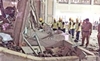 2 Indians among 107 killed in Saudi crane crash