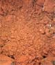 Water was quite common in early Martian history, studies reveal