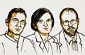 Abhijit Banerjee, Esther Duflo and Michael Kremer share Economics Nobel