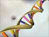 CSIR completes first ever human genome decoding in India