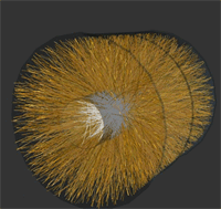 An event recorded by the ALICE experiment from the first lead-ion collisions, at a centre-of-mass energy of 2.76 TeV per nucleon pair.
