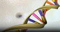 CSIR conducts whole genome sequencing of over 1,000 Indians