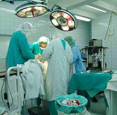 Mumbai docs perform India's first kidney swap transplants
