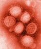 Stopping influenza evolution before it starts