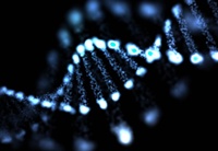 Non-coding DNA implicated in type 2 diabetes