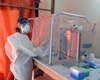 Malarial parasite boosts survival in Ebola patients