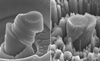 Researchers create exceptionally strong and lightweight new metal